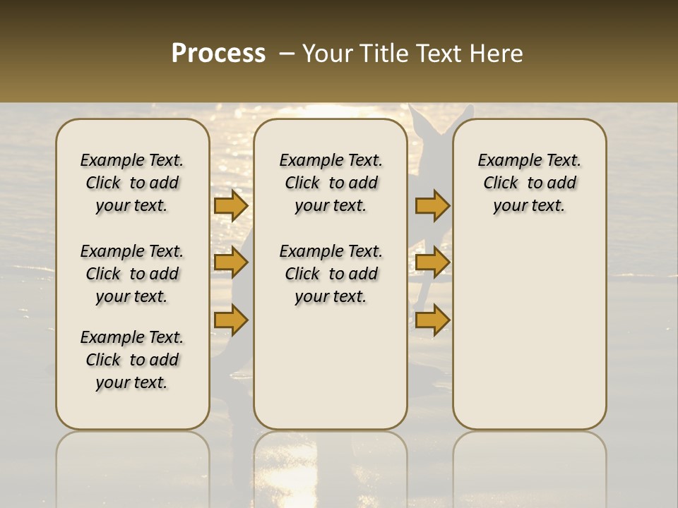 A Kangaroo Standing On A Beach At Sunset PowerPoint Template