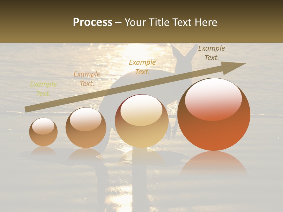 A Kangaroo Standing On A Beach At Sunset PowerPoint Template