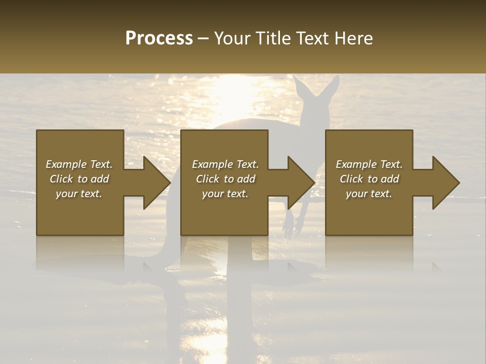 A Kangaroo Standing On A Beach At Sunset PowerPoint Template