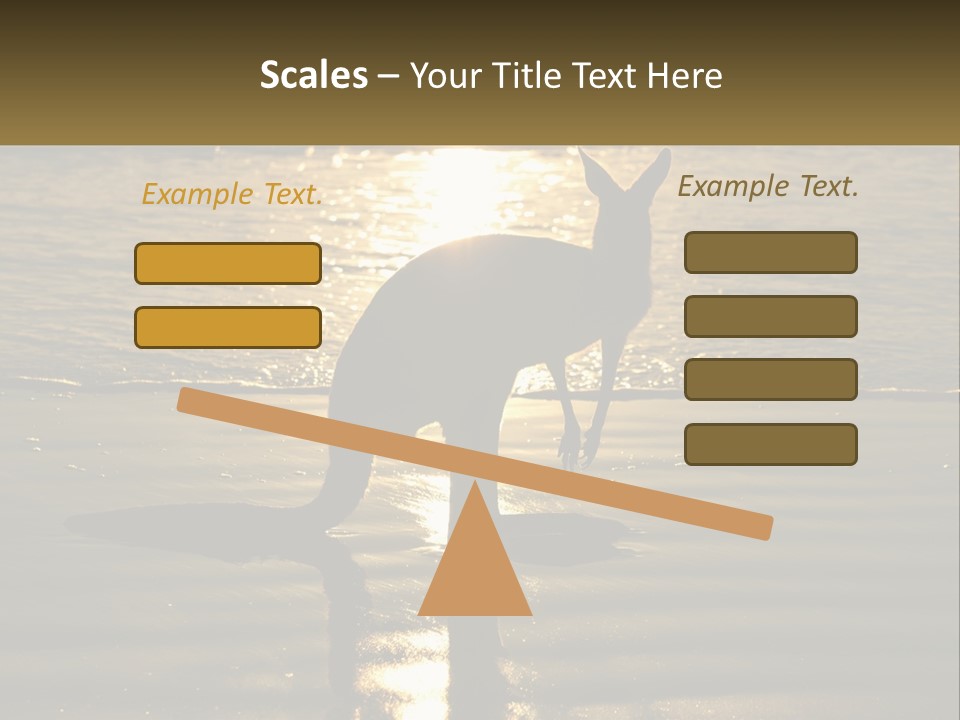 A Kangaroo Standing On A Beach At Sunset PowerPoint Template