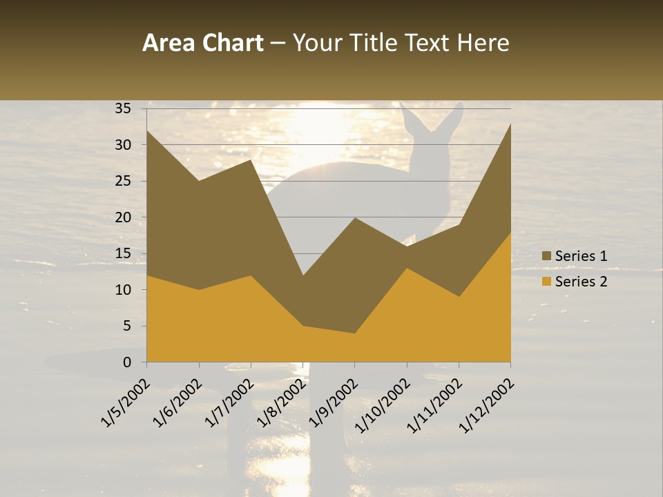 A Kangaroo Standing On A Beach At Sunset PowerPoint Template