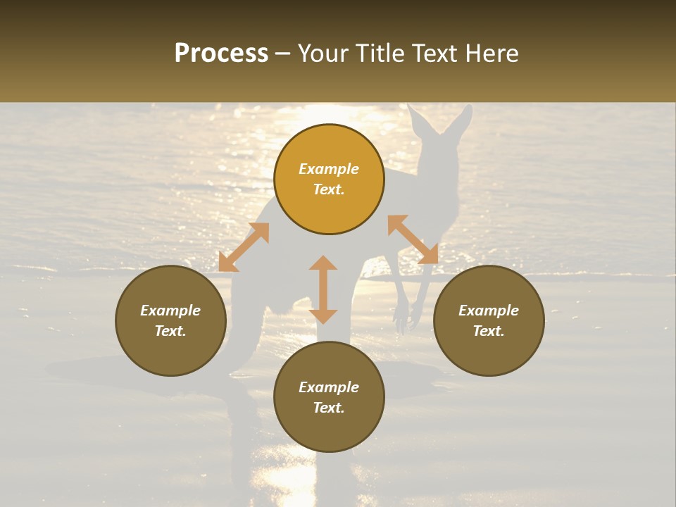 A Kangaroo Standing On A Beach At Sunset PowerPoint Template