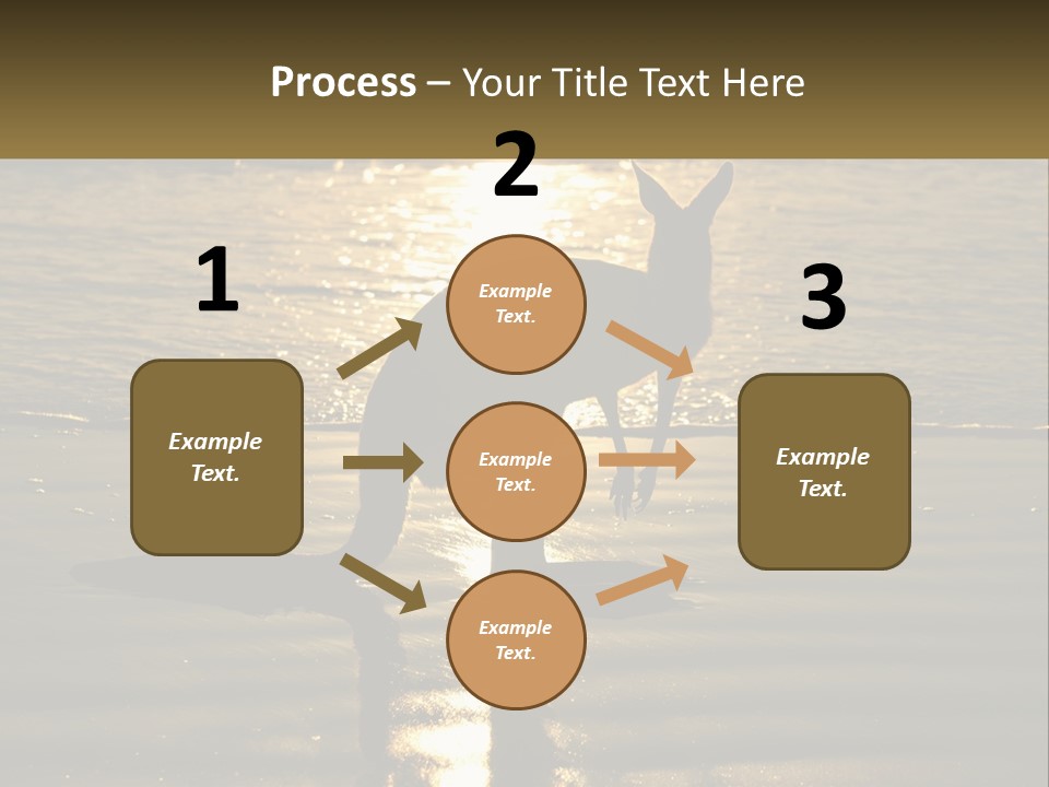 A Kangaroo Standing On A Beach At Sunset PowerPoint Template