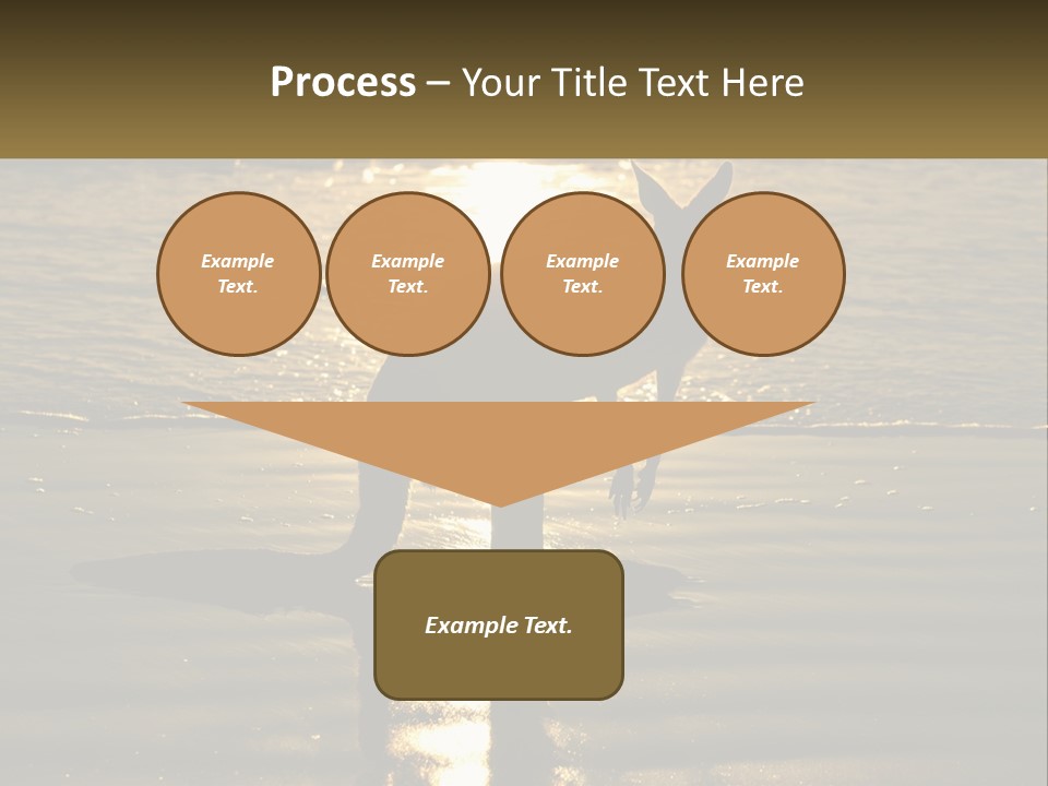 A Kangaroo Standing On A Beach At Sunset PowerPoint Template