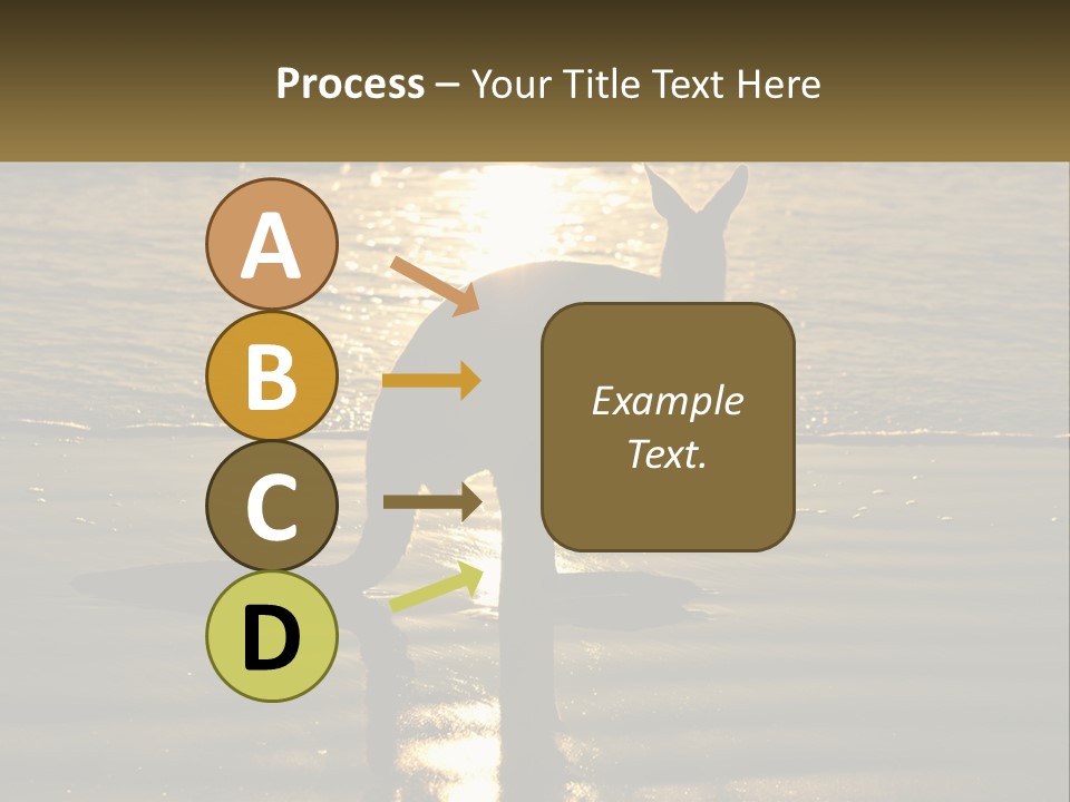 A Kangaroo Standing On A Beach At Sunset PowerPoint Template