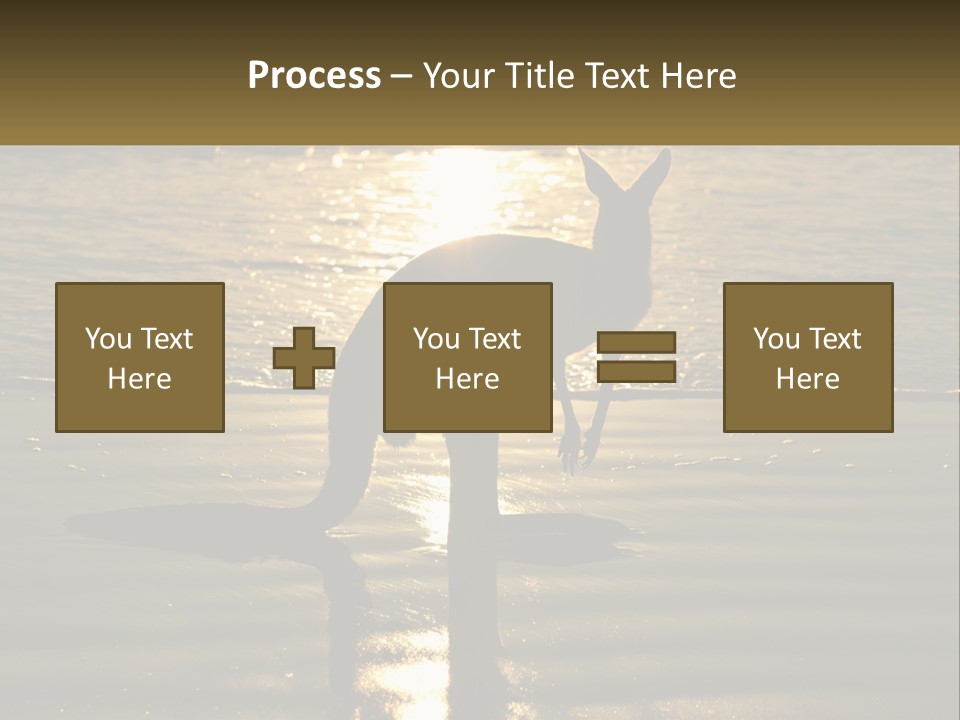 A Kangaroo Standing On A Beach At Sunset PowerPoint Template