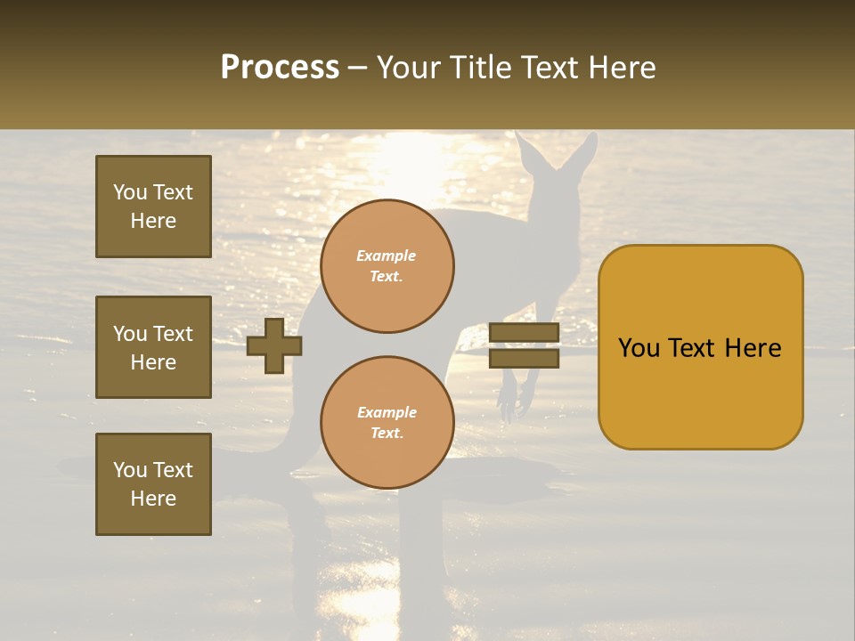 A Kangaroo Standing On A Beach At Sunset PowerPoint Template