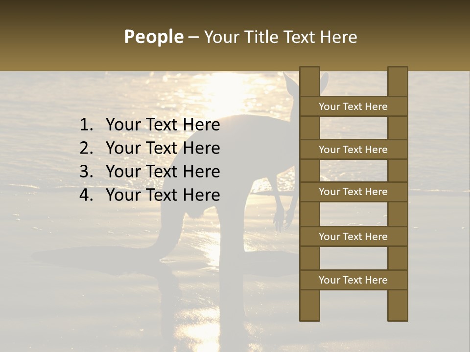 A Kangaroo Standing On A Beach At Sunset PowerPoint Template