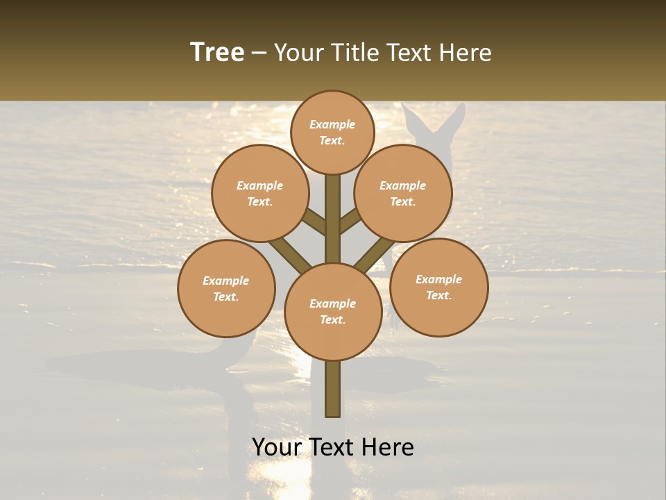 A Kangaroo Standing On A Beach At Sunset PowerPoint Template