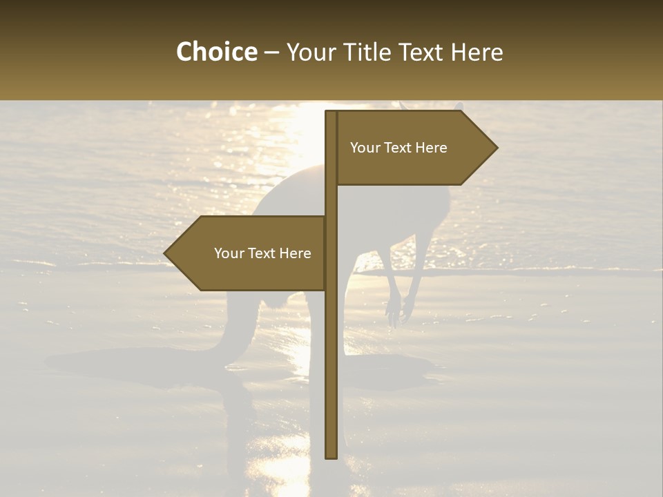 A Kangaroo Standing On A Beach At Sunset PowerPoint Template