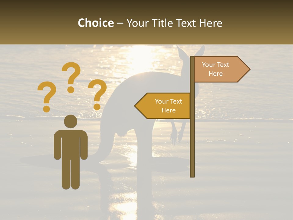 A Kangaroo Standing On A Beach At Sunset PowerPoint Template