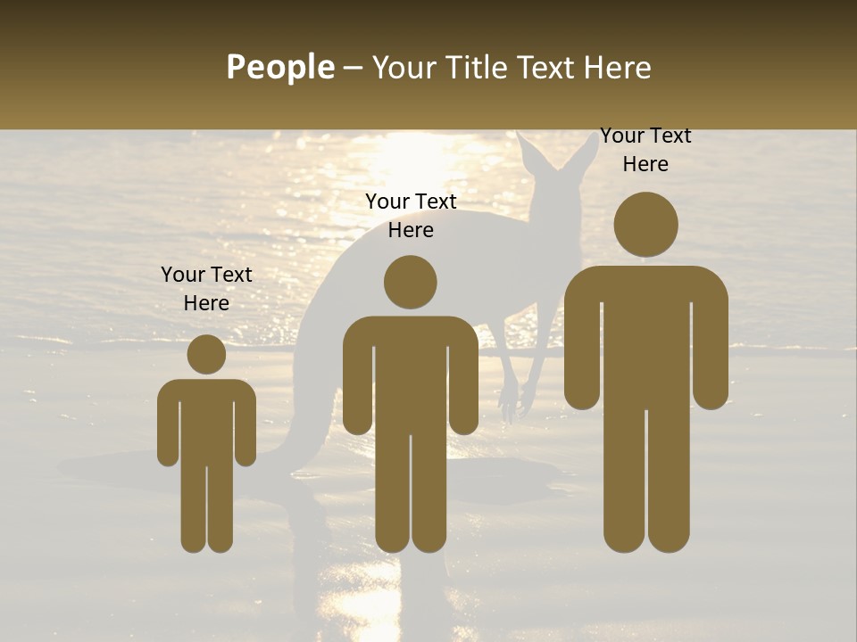 A Kangaroo Standing On A Beach At Sunset PowerPoint Template