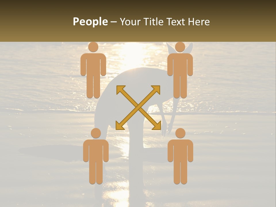 A Kangaroo Standing On A Beach At Sunset PowerPoint Template