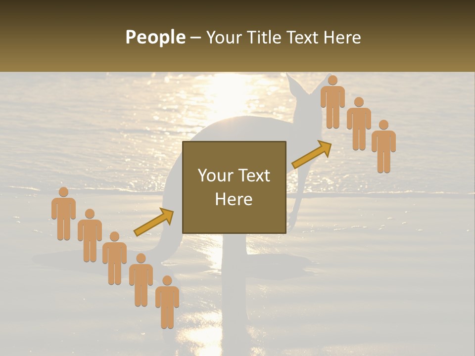 A Kangaroo Standing On A Beach At Sunset PowerPoint Template