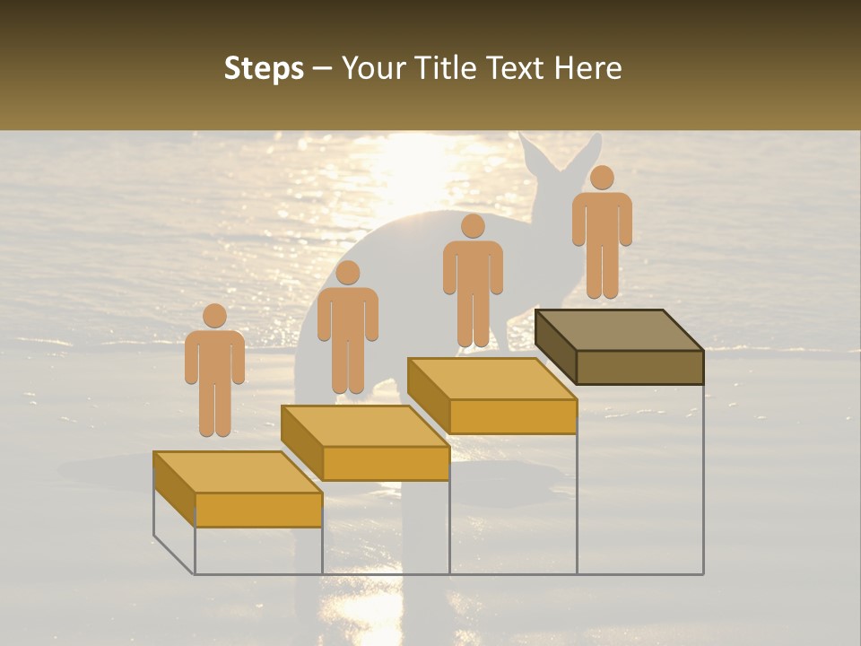 A Kangaroo Standing On A Beach At Sunset PowerPoint Template