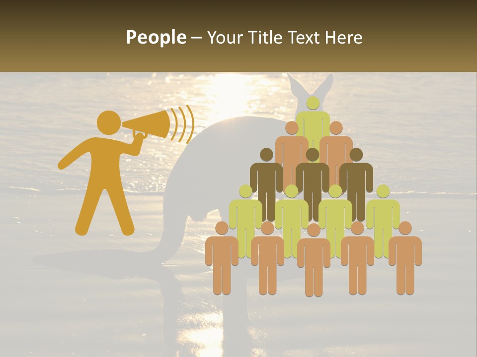 A Kangaroo Standing On A Beach At Sunset PowerPoint Template