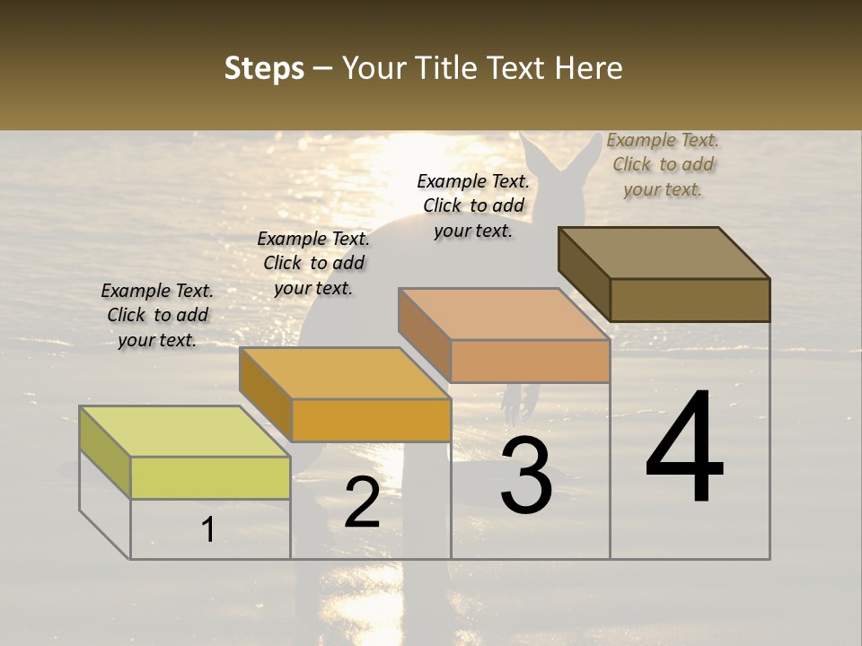 A Kangaroo Standing On A Beach At Sunset PowerPoint Template