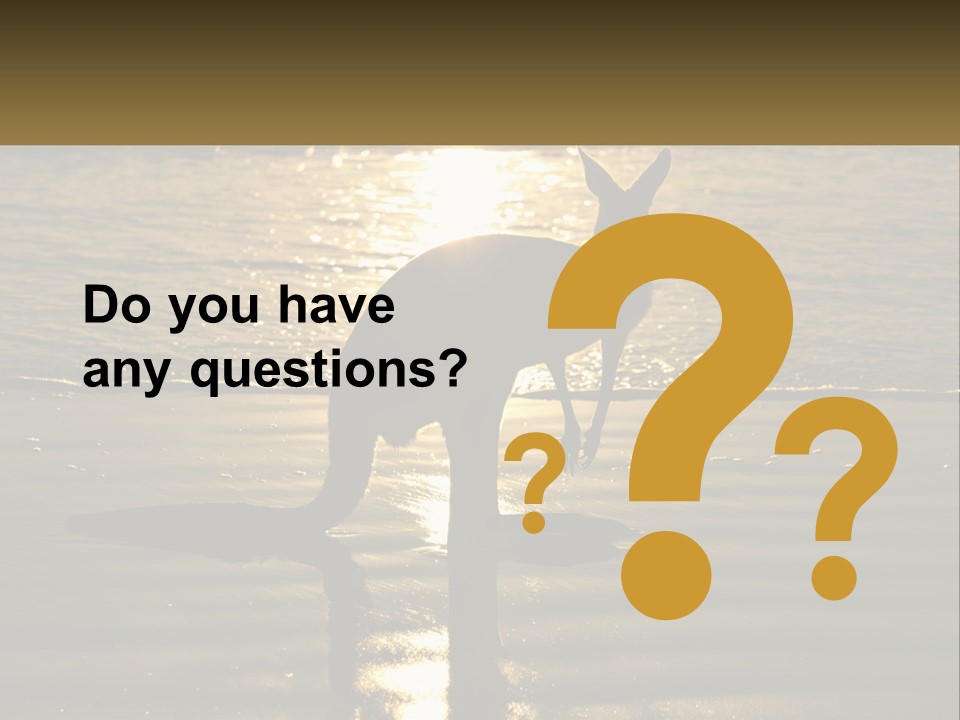 A Kangaroo Standing On A Beach At Sunset PowerPoint Template