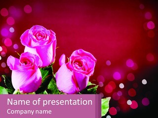 Three Pink Roses Are In A Vase On A Table PowerPoint Template