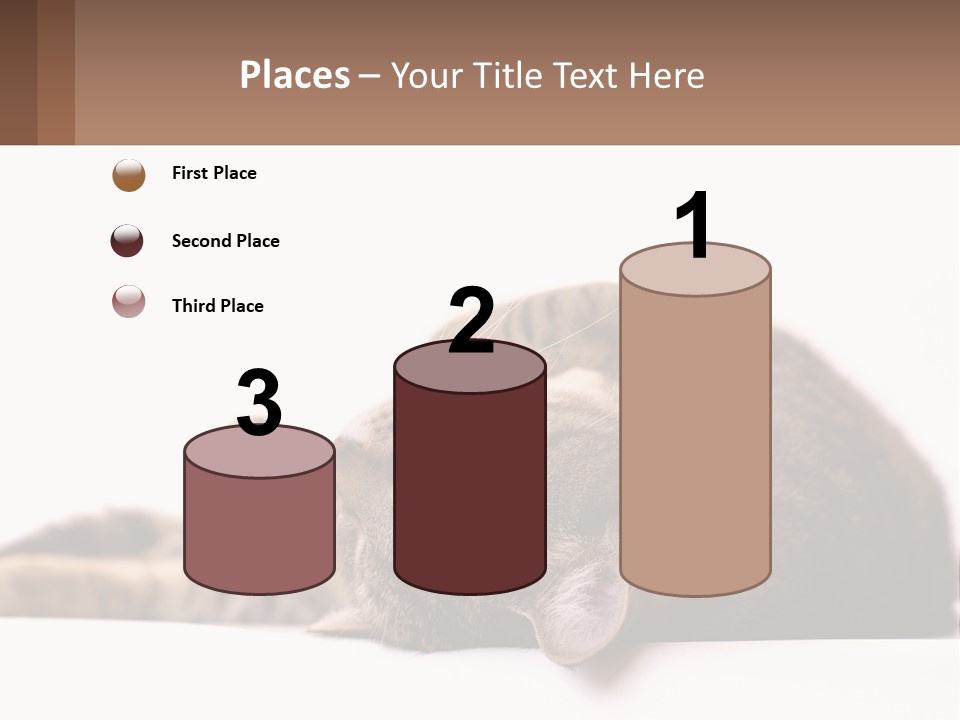 A Cat Laying On Its Back On Top Of A Table PowerPoint Template