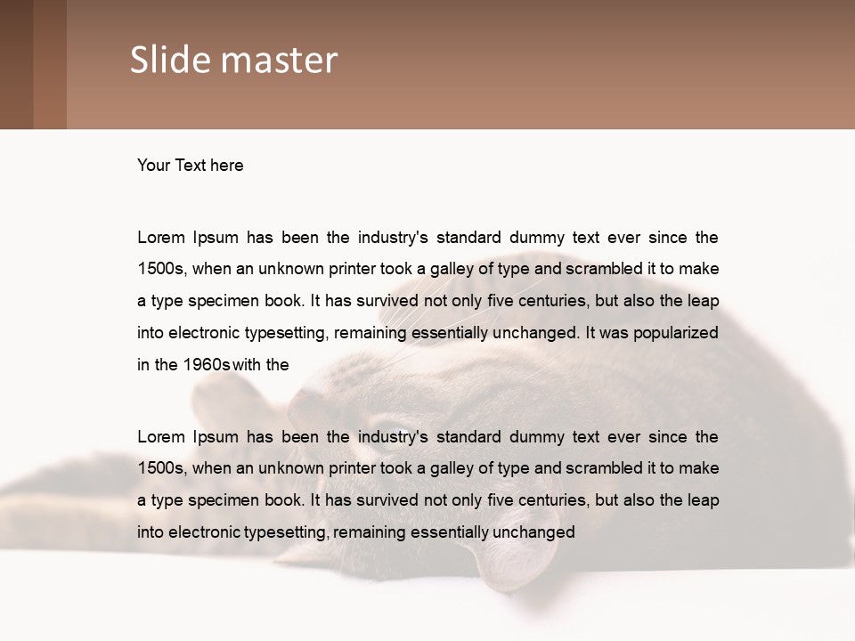 A Cat Laying On Its Back On Top Of A Table PowerPoint Template