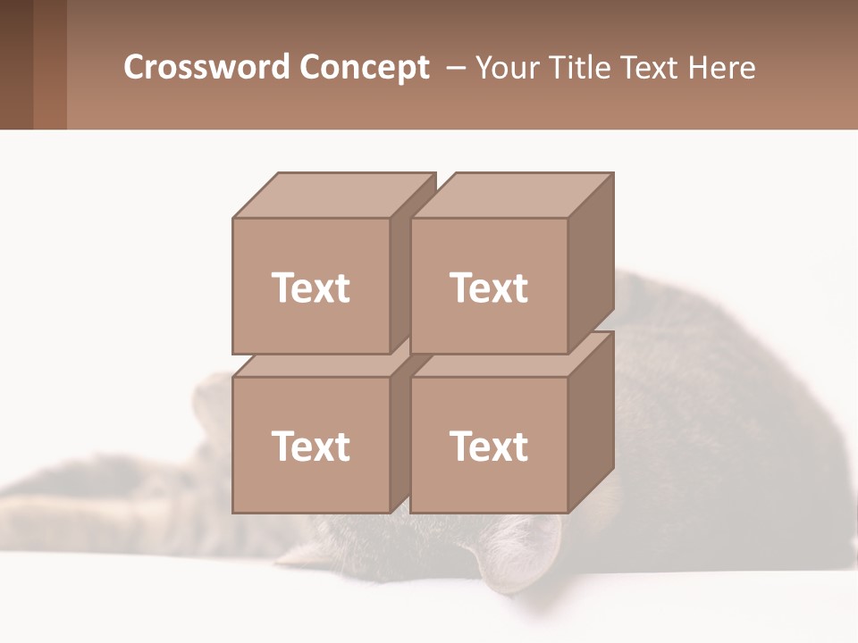 A Cat Laying On Its Back On Top Of A Table PowerPoint Template