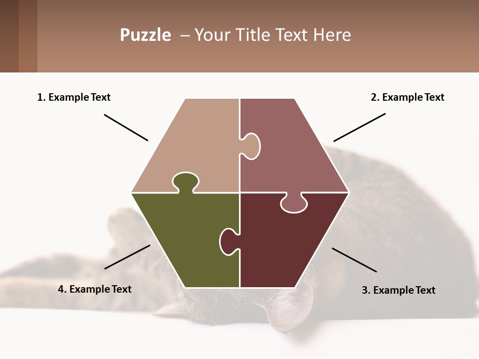 A Cat Laying On Its Back On Top Of A Table PowerPoint Template