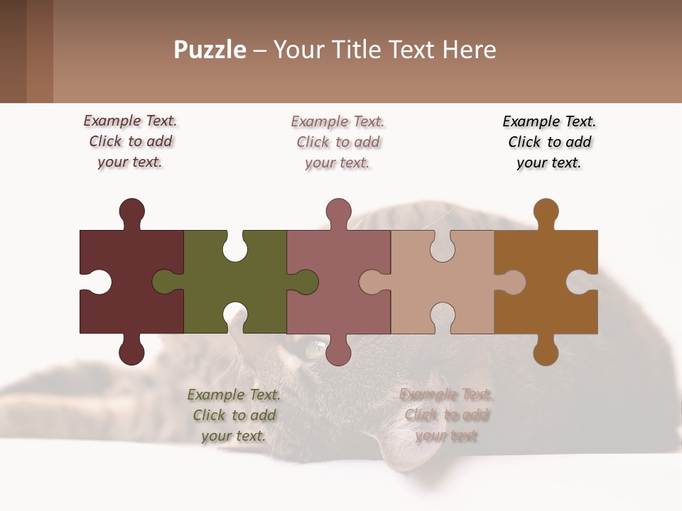 A Cat Laying On Its Back On Top Of A Table PowerPoint Template