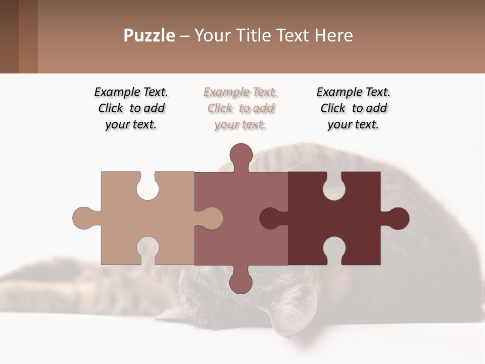 A Cat Laying On Its Back On Top Of A Table PowerPoint Template