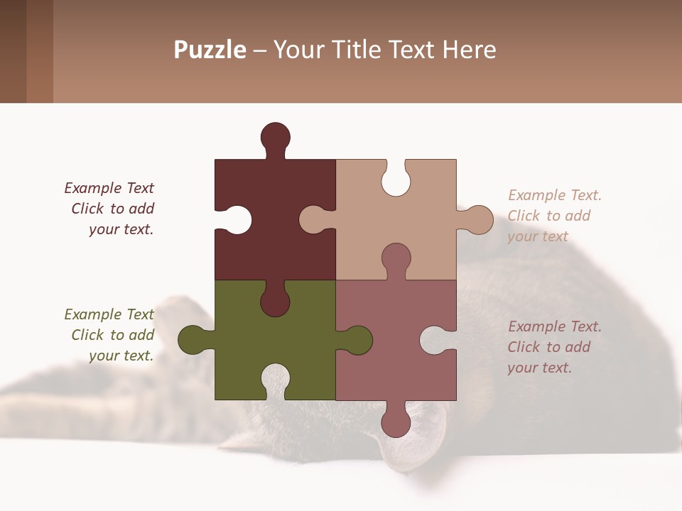 A Cat Laying On Its Back On Top Of A Table PowerPoint Template