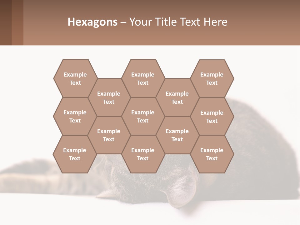 A Cat Laying On Its Back On Top Of A Table PowerPoint Template