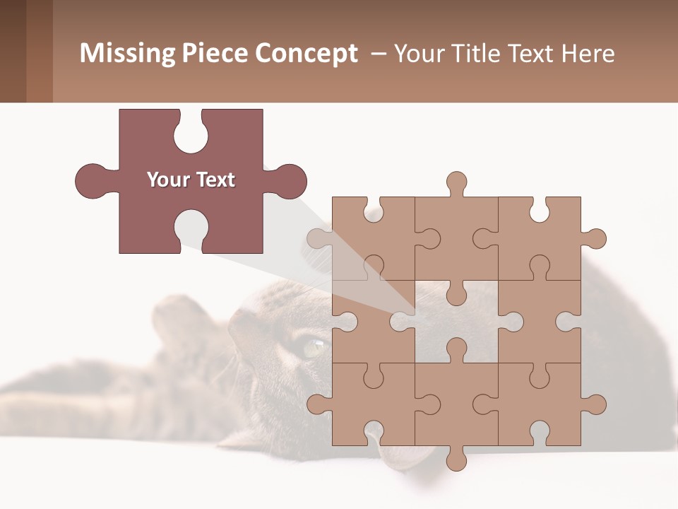 A Cat Laying On Its Back On Top Of A Table PowerPoint Template