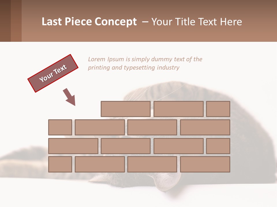 A Cat Laying On Its Back On Top Of A Table PowerPoint Template