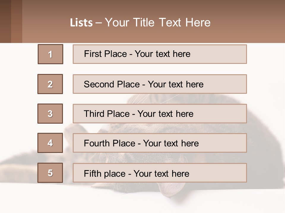 A Cat Laying On Its Back On Top Of A Table PowerPoint Template