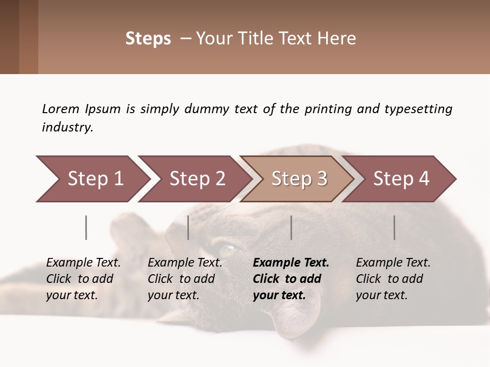 A Cat Laying On Its Back On Top Of A Table PowerPoint Template