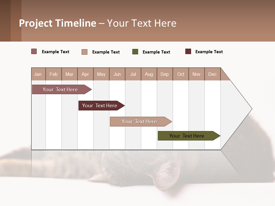 A Cat Laying On Its Back On Top Of A Table PowerPoint Template