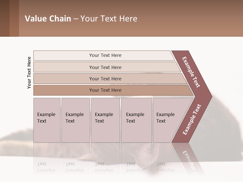 A Cat Laying On Its Back On Top Of A Table PowerPoint Template