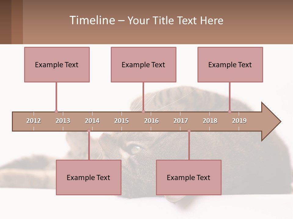 A Cat Laying On Its Back On Top Of A Table PowerPoint Template