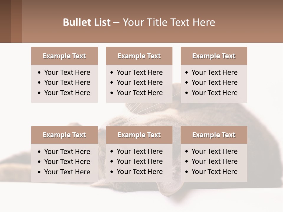 A Cat Laying On Its Back On Top Of A Table PowerPoint Template