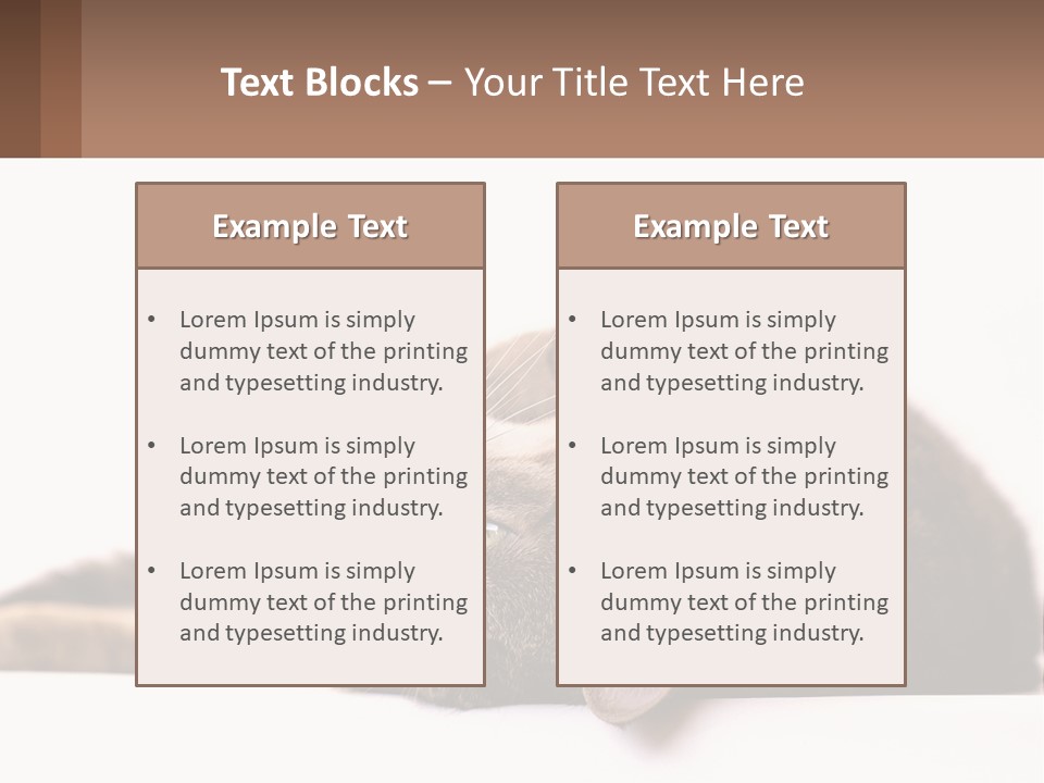 A Cat Laying On Its Back On Top Of A Table PowerPoint Template