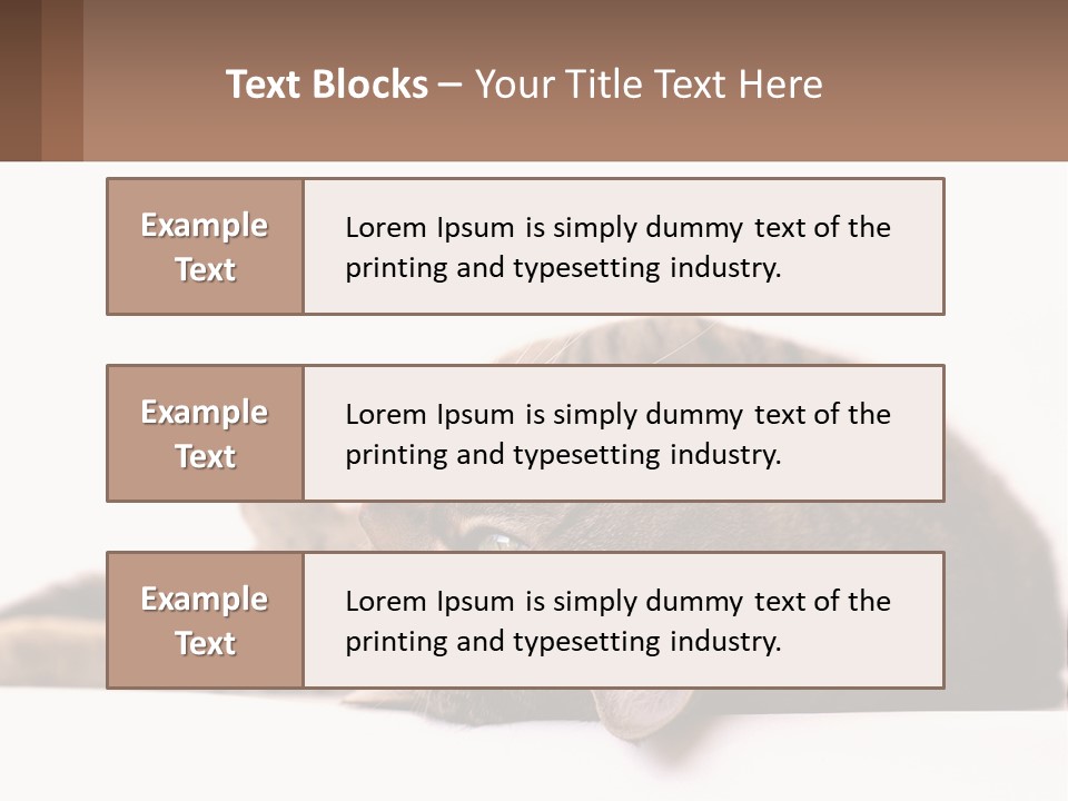 A Cat Laying On Its Back On Top Of A Table PowerPoint Template