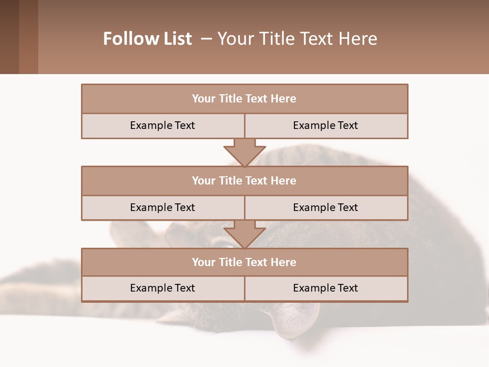 A Cat Laying On Its Back On Top Of A Table PowerPoint Template