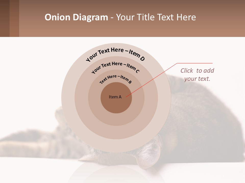 A Cat Laying On Its Back On Top Of A Table PowerPoint Template