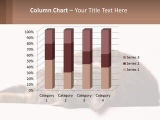 A Cat Laying On Its Back On Top Of A Table PowerPoint Template