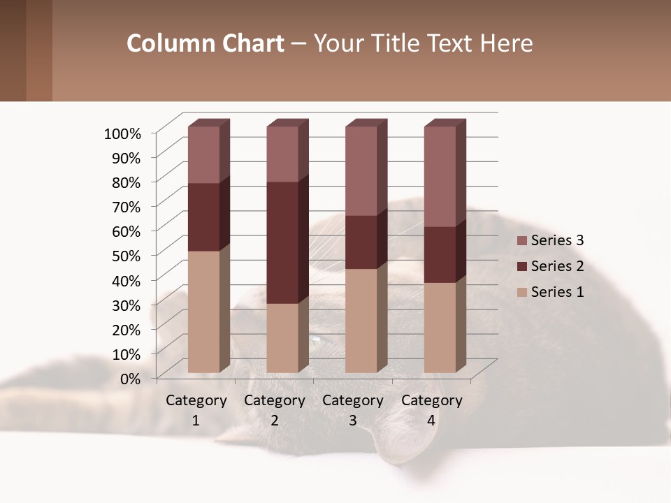 A Cat Laying On Its Back On Top Of A Table PowerPoint Template