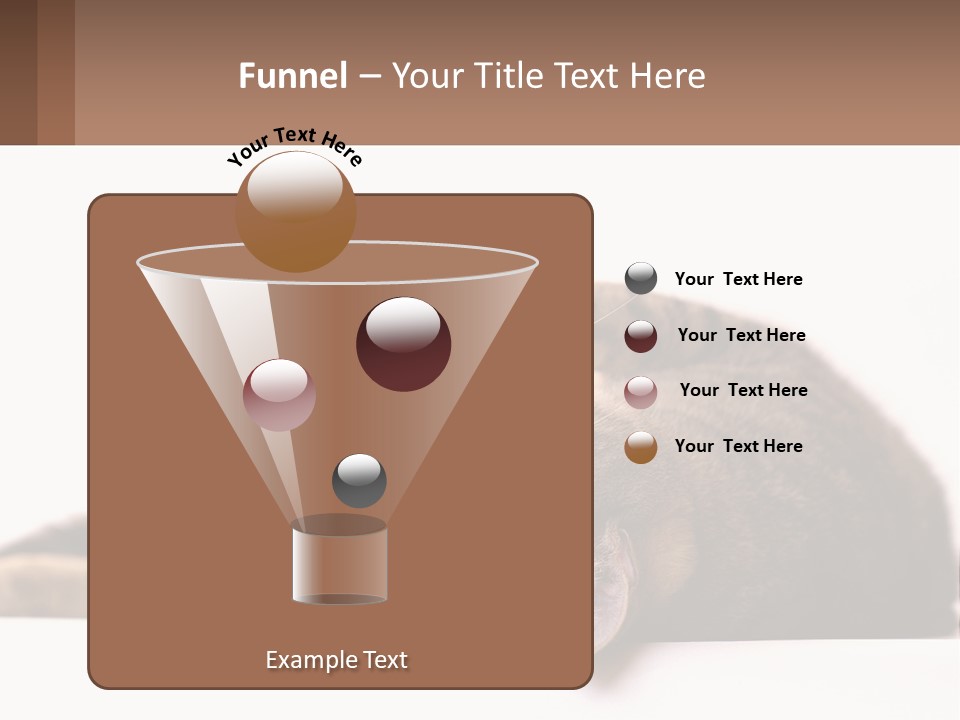 A Cat Laying On Its Back On Top Of A Table PowerPoint Template