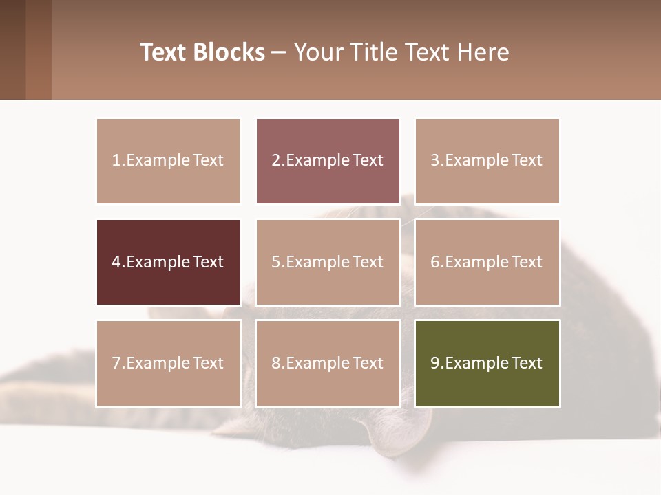 A Cat Laying On Its Back On Top Of A Table PowerPoint Template