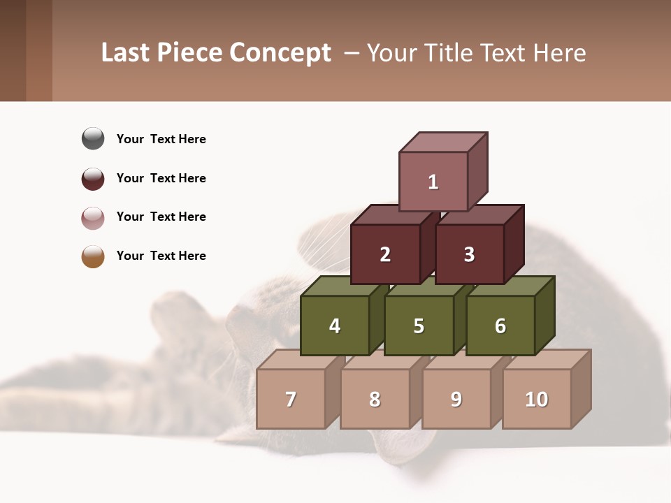 A Cat Laying On Its Back On Top Of A Table PowerPoint Template