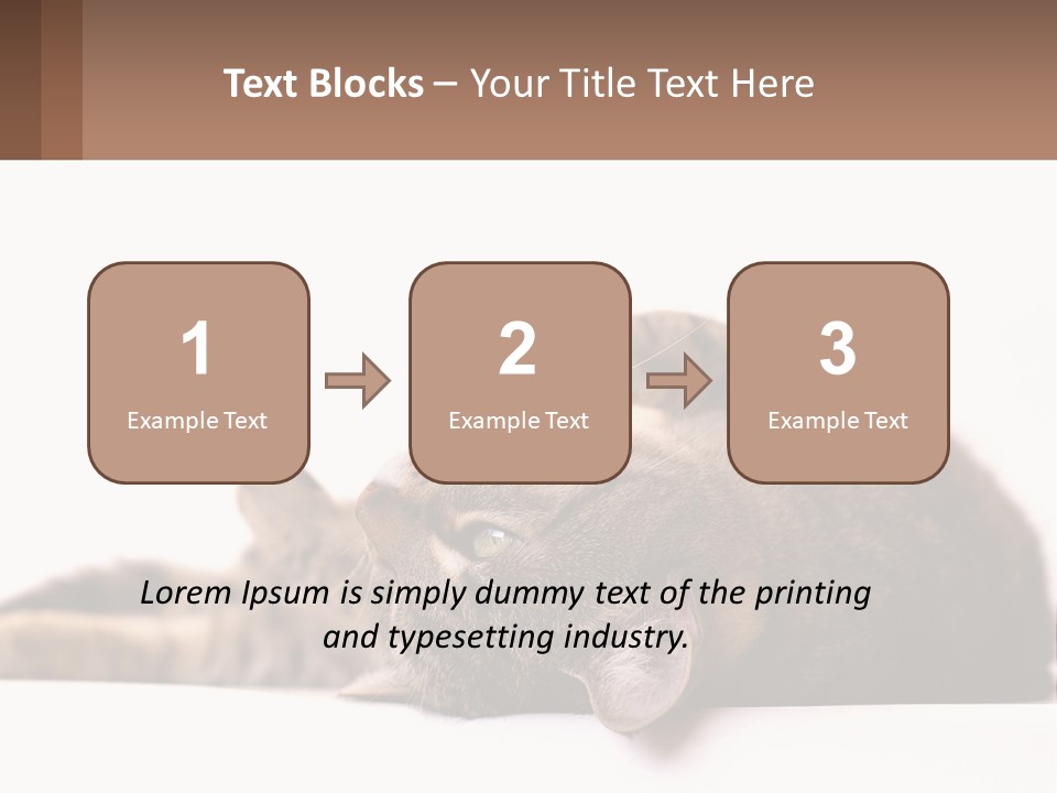 A Cat Laying On Its Back On Top Of A Table PowerPoint Template
