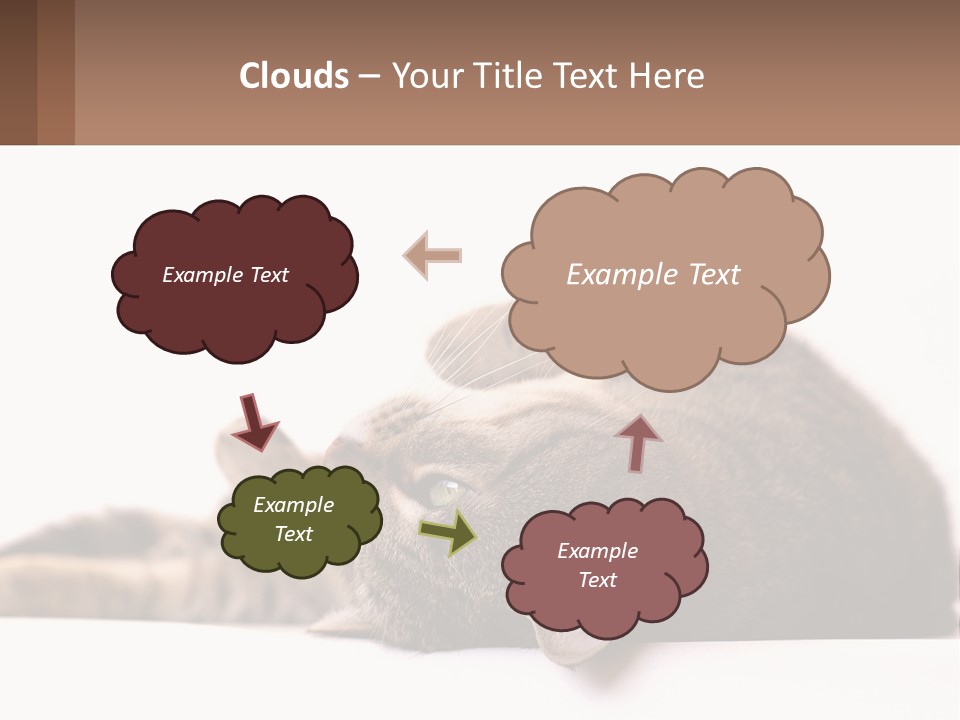 A Cat Laying On Its Back On Top Of A Table PowerPoint Template